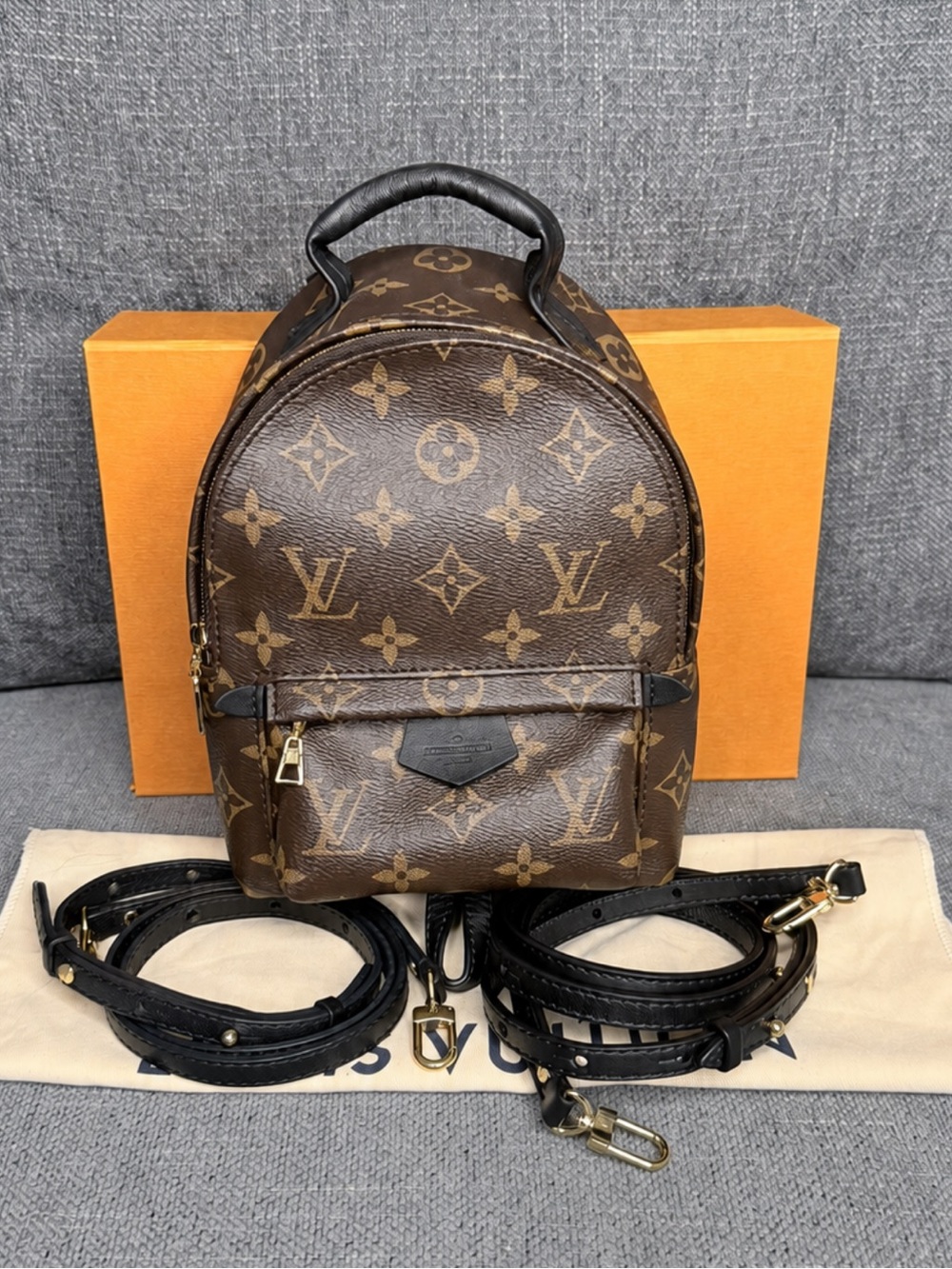 Louis Vuitton palm springs mini monogram backpack bag